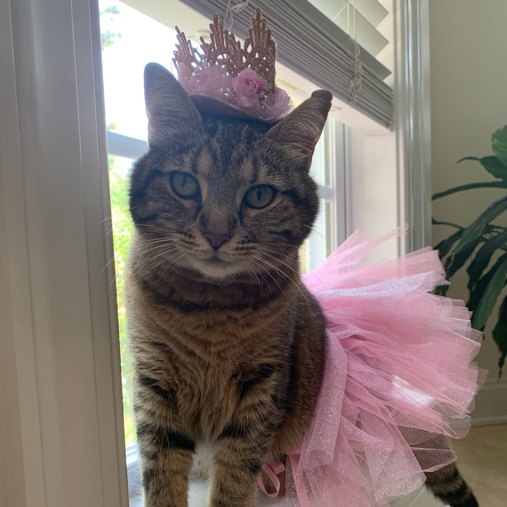 Closing down this shop :(